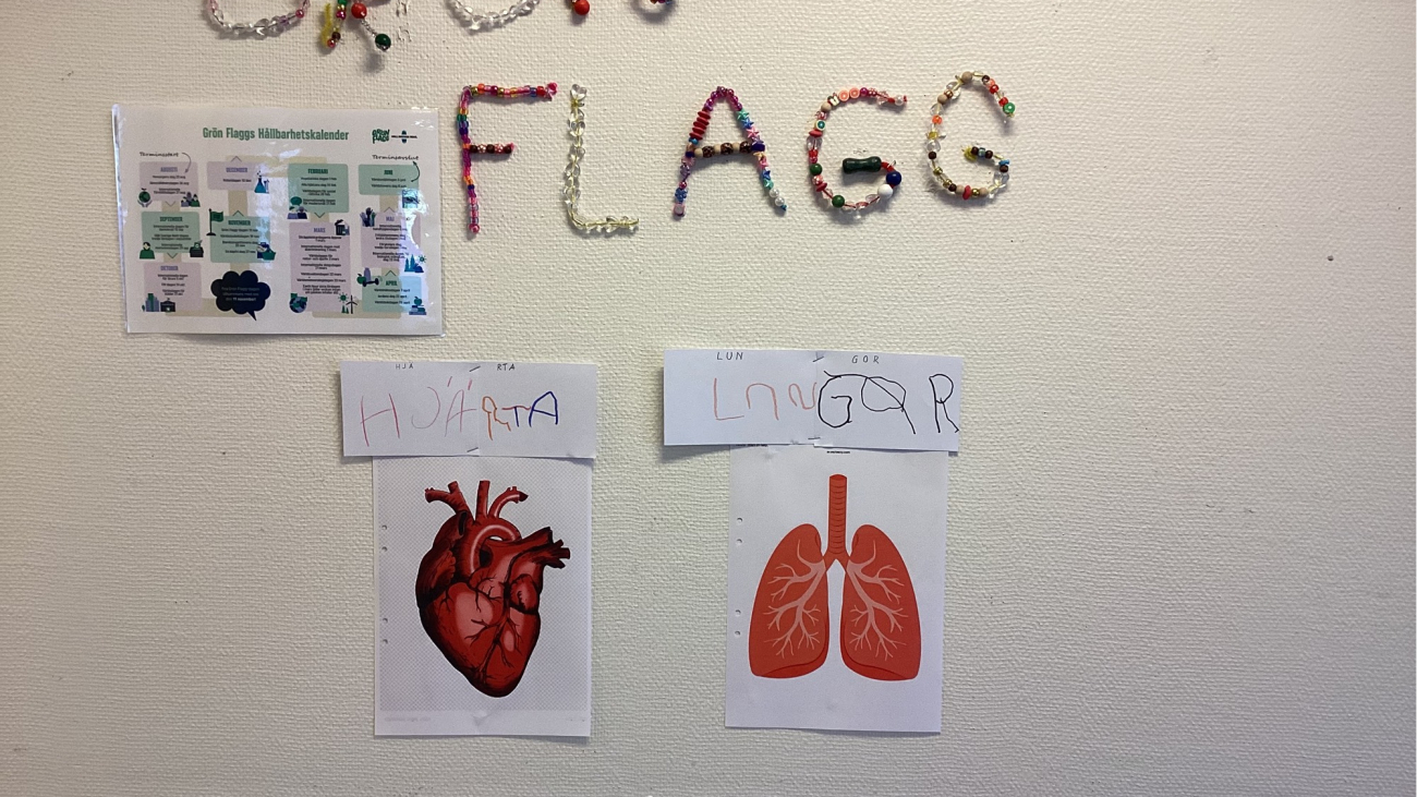 grön flagg kroppen