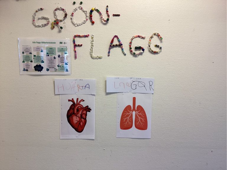 Vi lär oss om kroppen